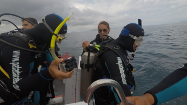 CURSO OPEN WATER DIVER